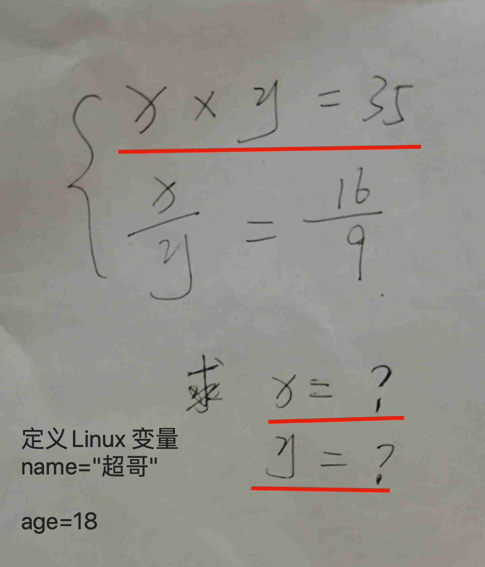 image-20191123203516529