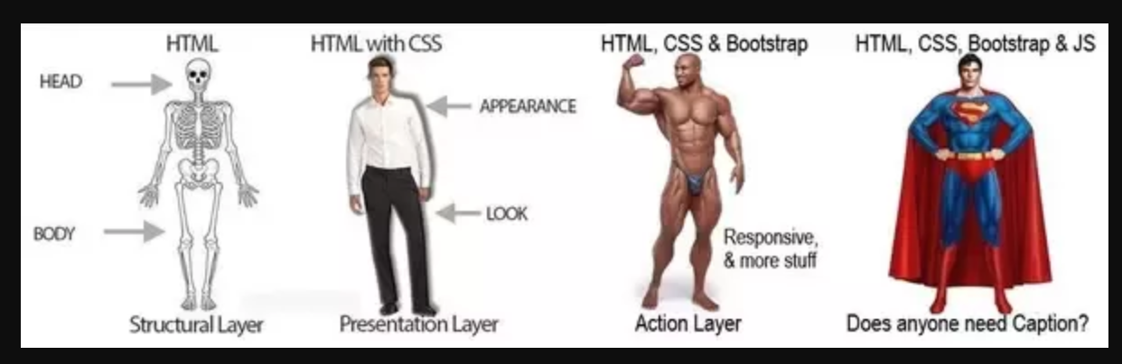 image-20200113174821025