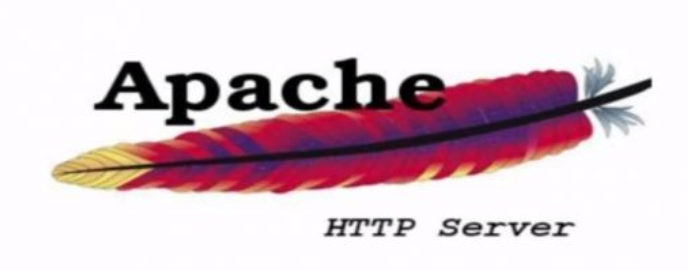 image-20200210104433780