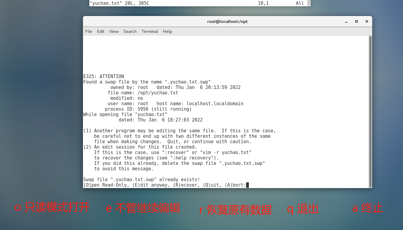 image-20220106202944711