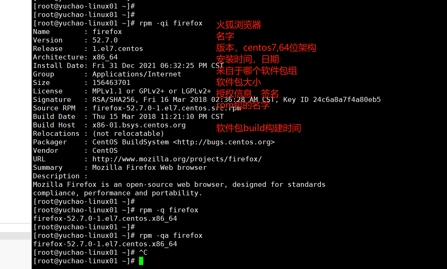 image-20220117141743496