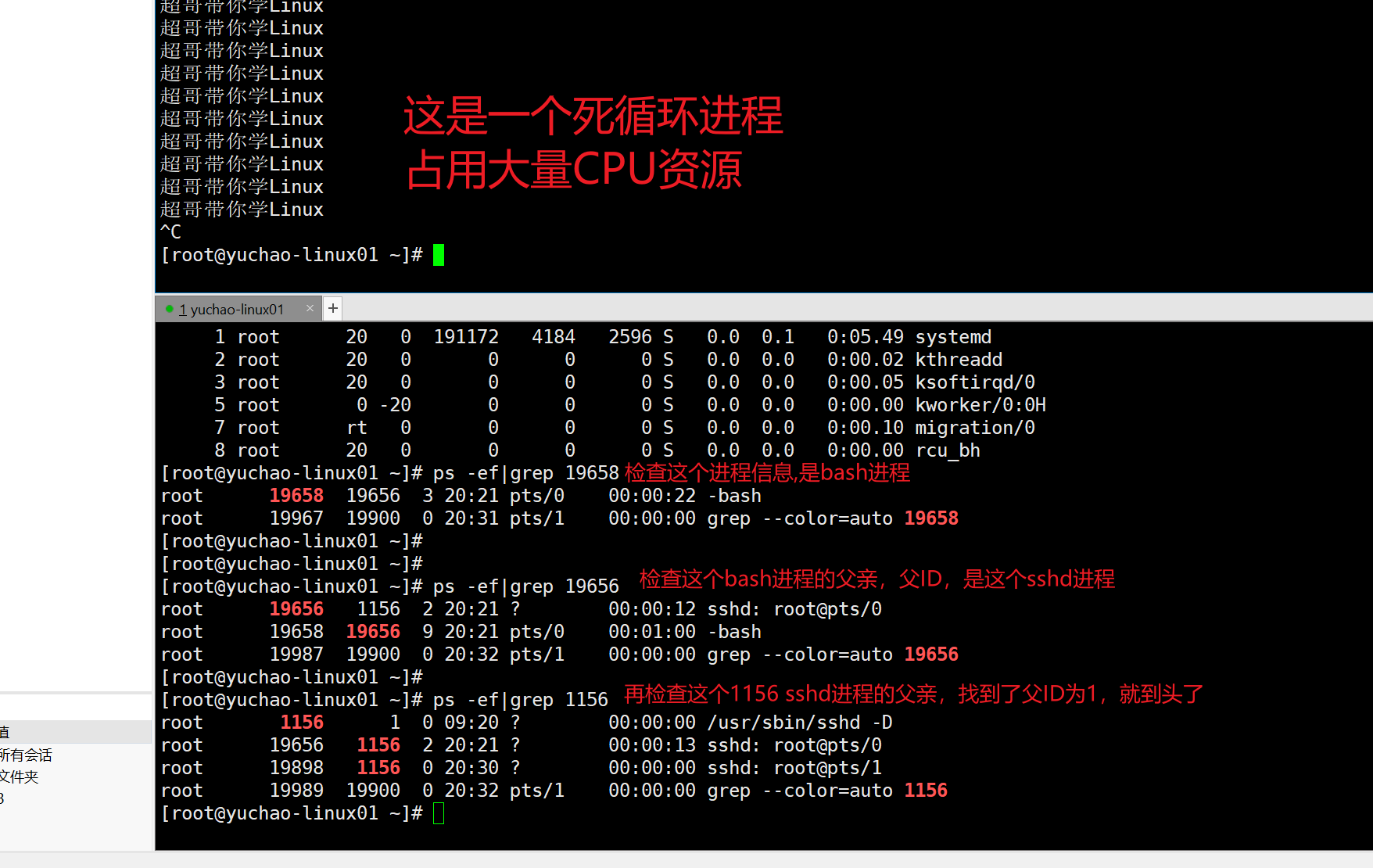 image-20220117203429853