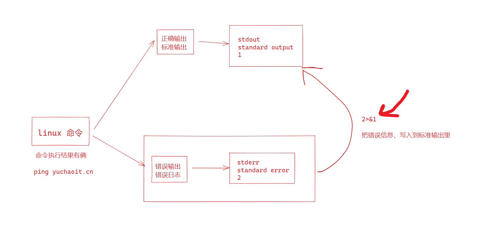 image-20220118110735345