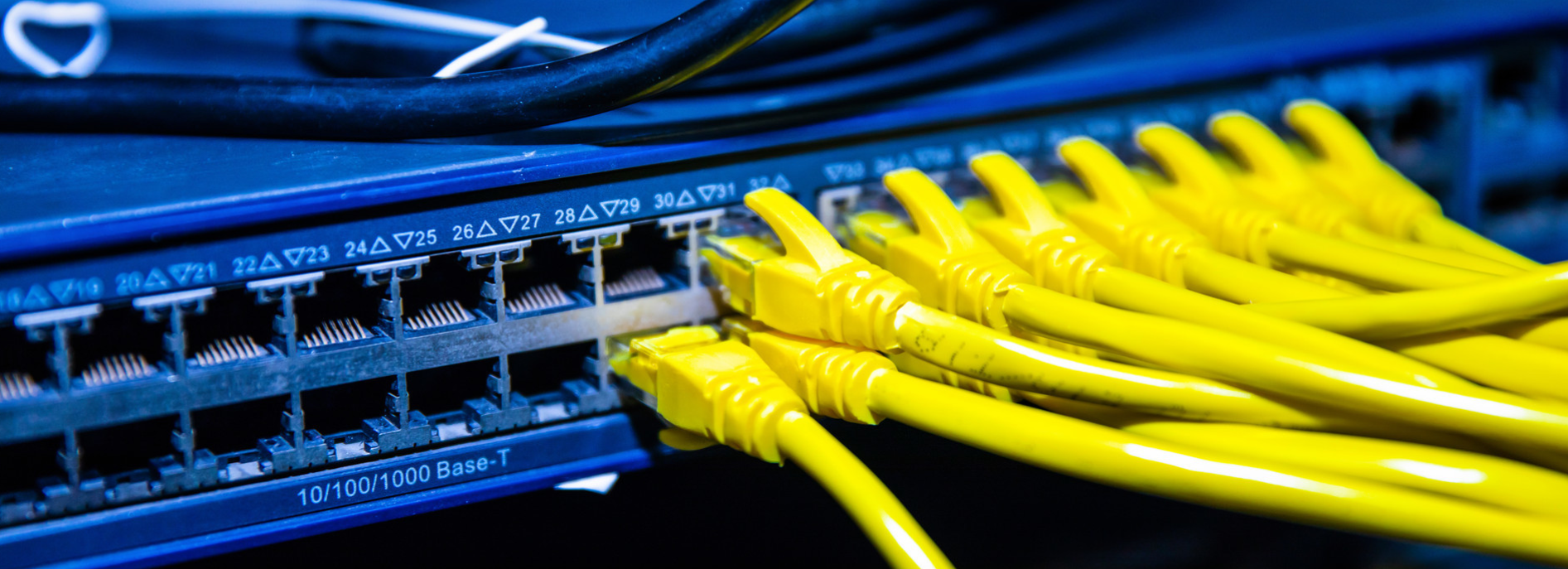 image-20220119175241025