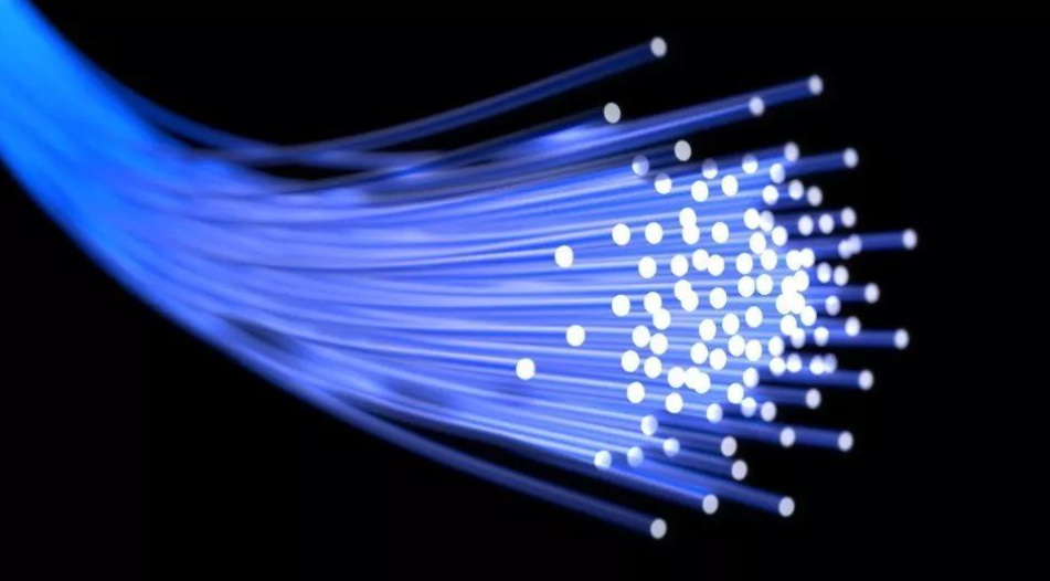 image-20220119194146006