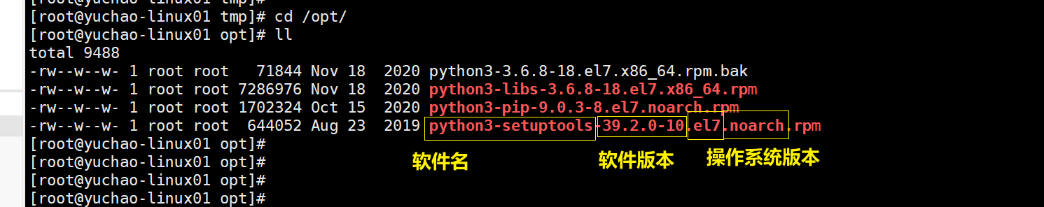 image-20220207100456409