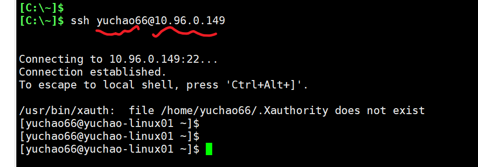 image-20220210173641671