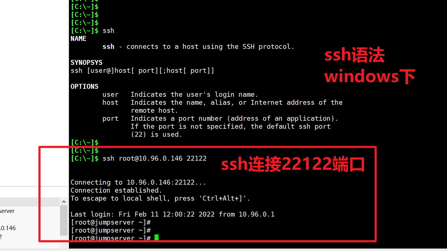 image-20220211120640659