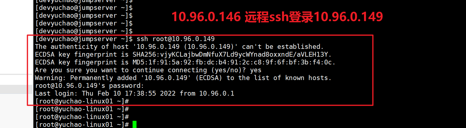 image-20220211135510985