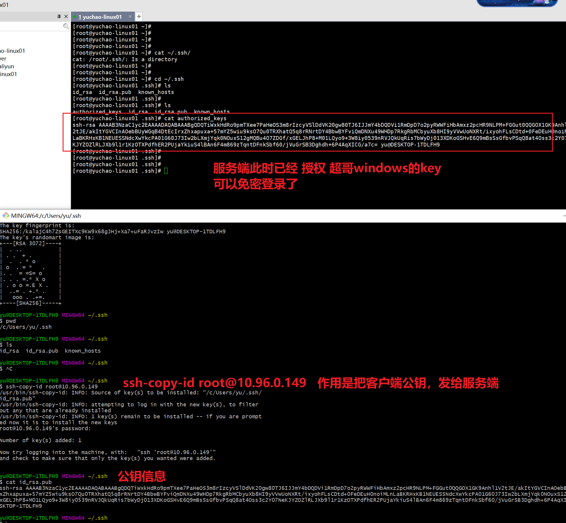 image-20220211163945937