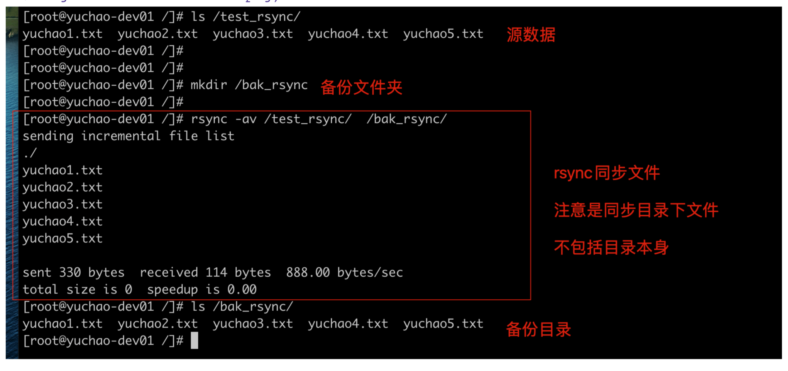 image-20220215181832398