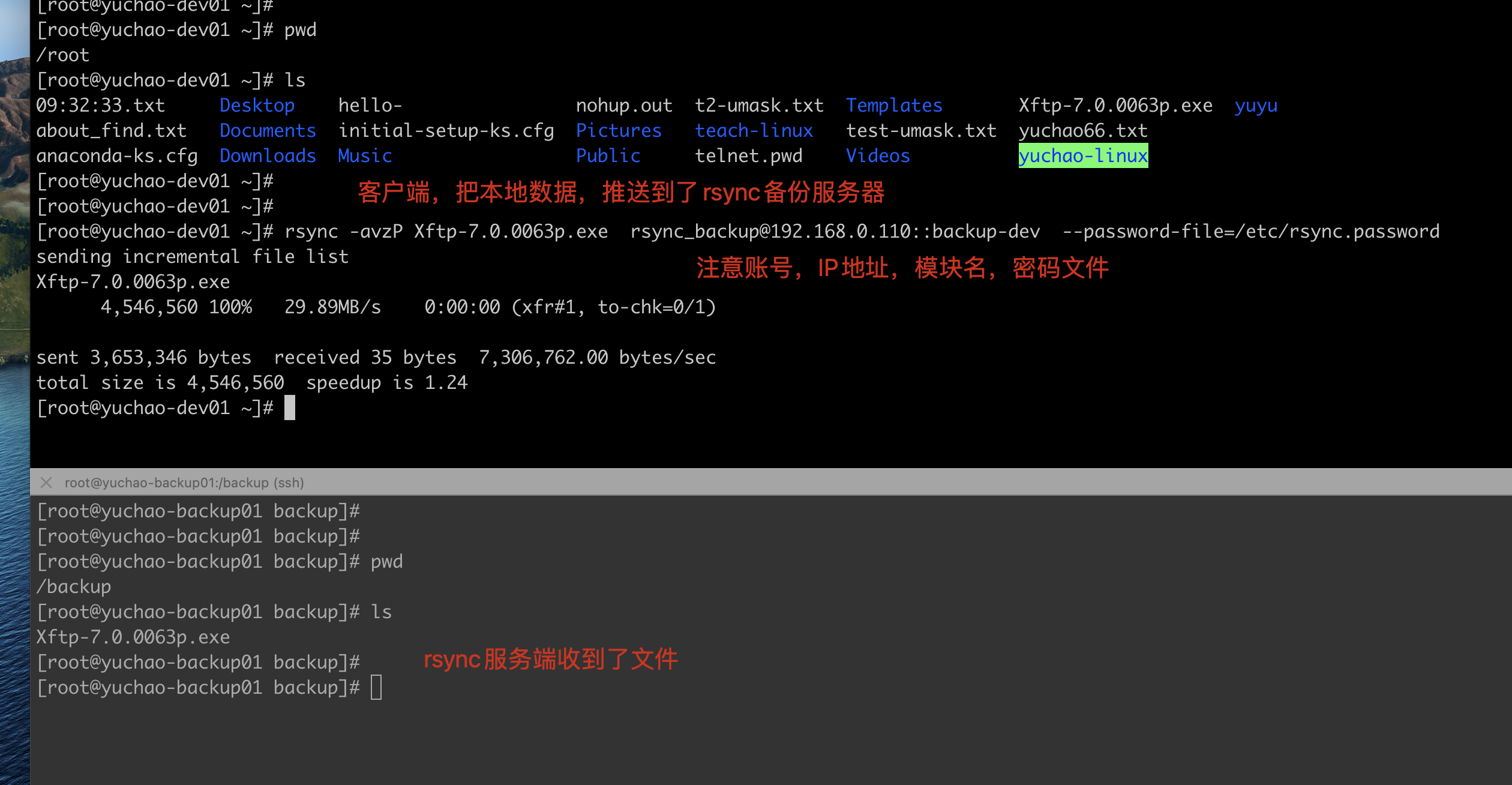 image-20220216112239775