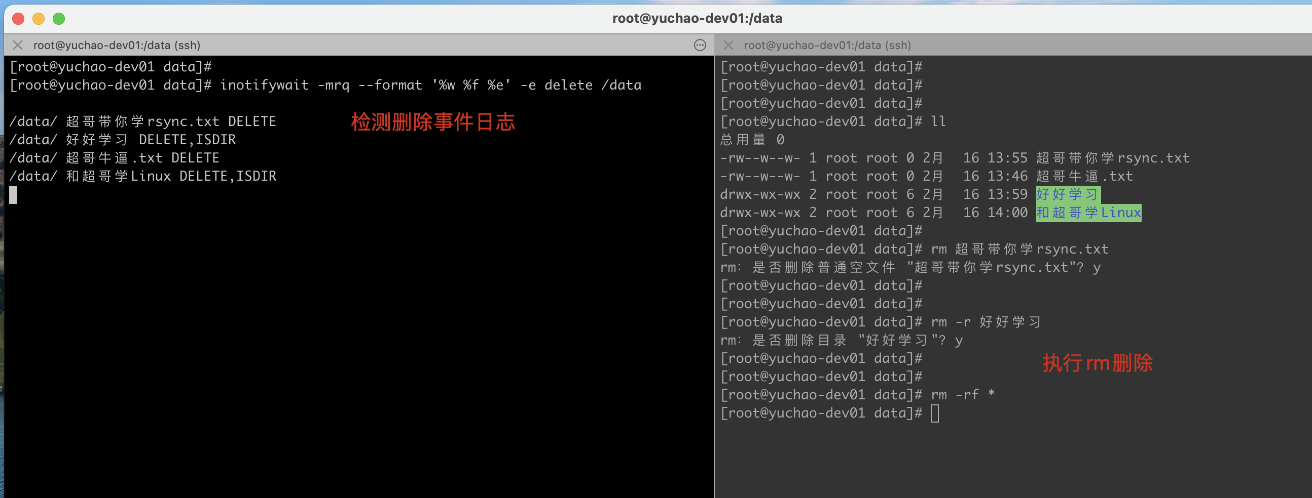 image-20220216140503144