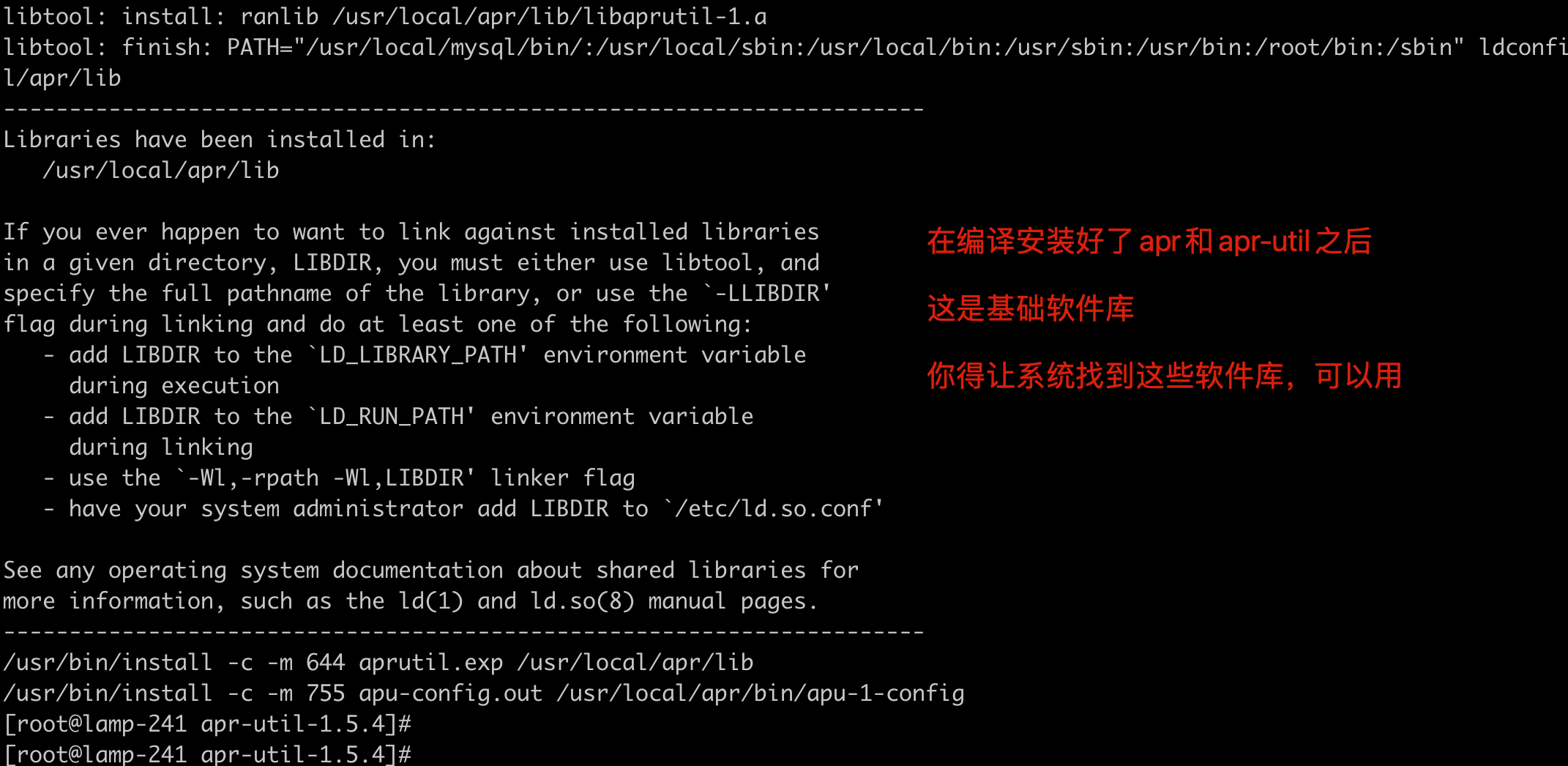 image-20220226190226258