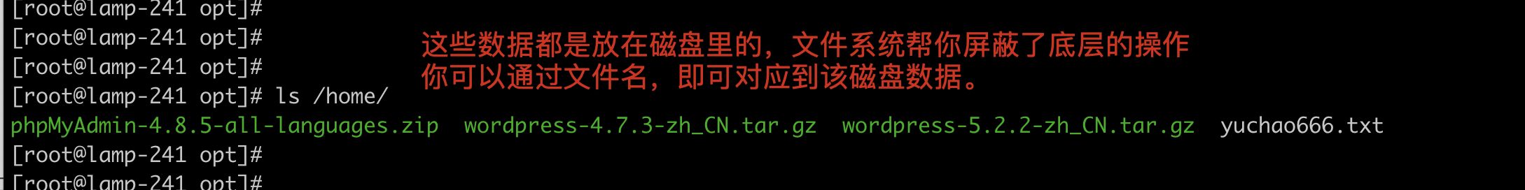 image-20220228195117900