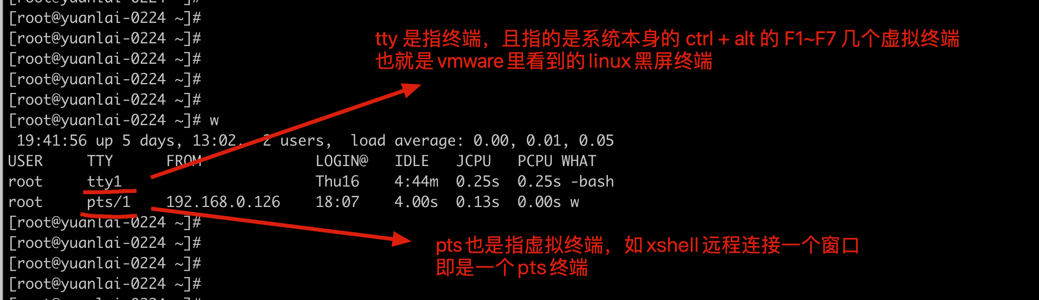 image-20220308194534805