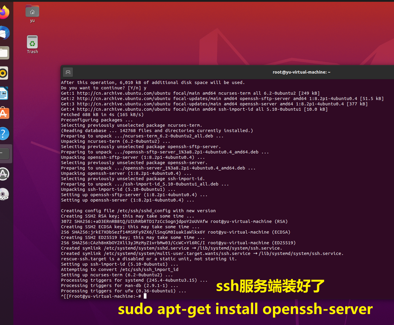 image-20220319161900213