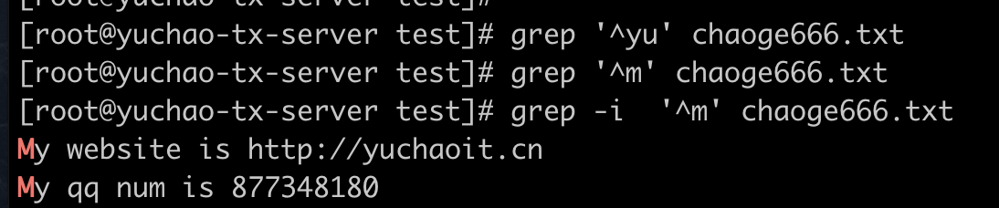 image-20220403204344736