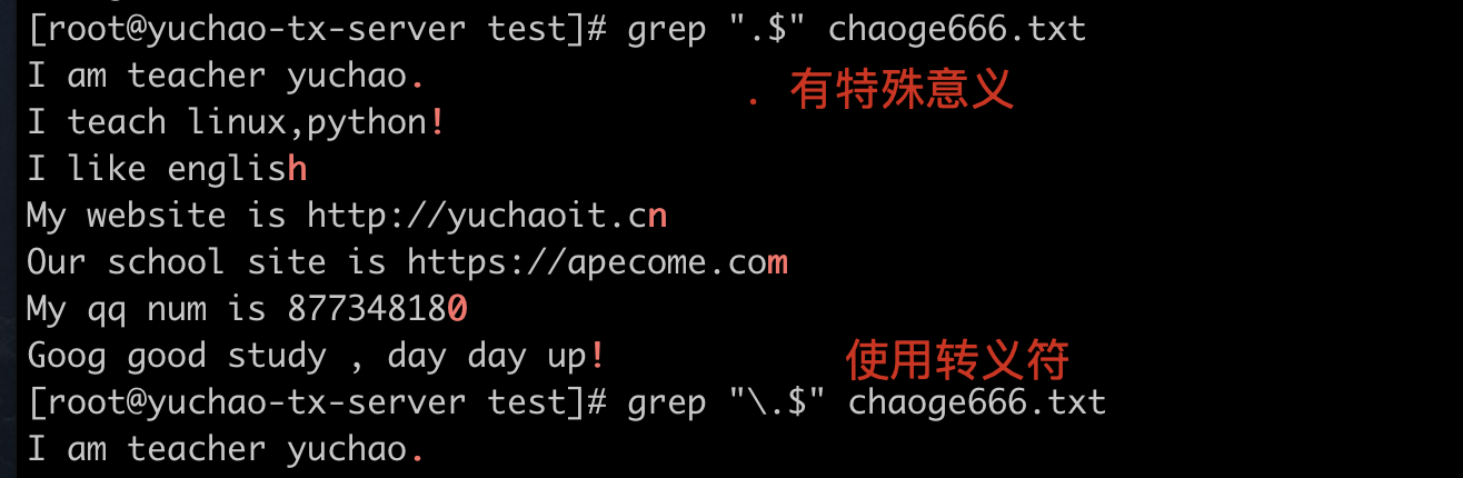 image-20220404110725626