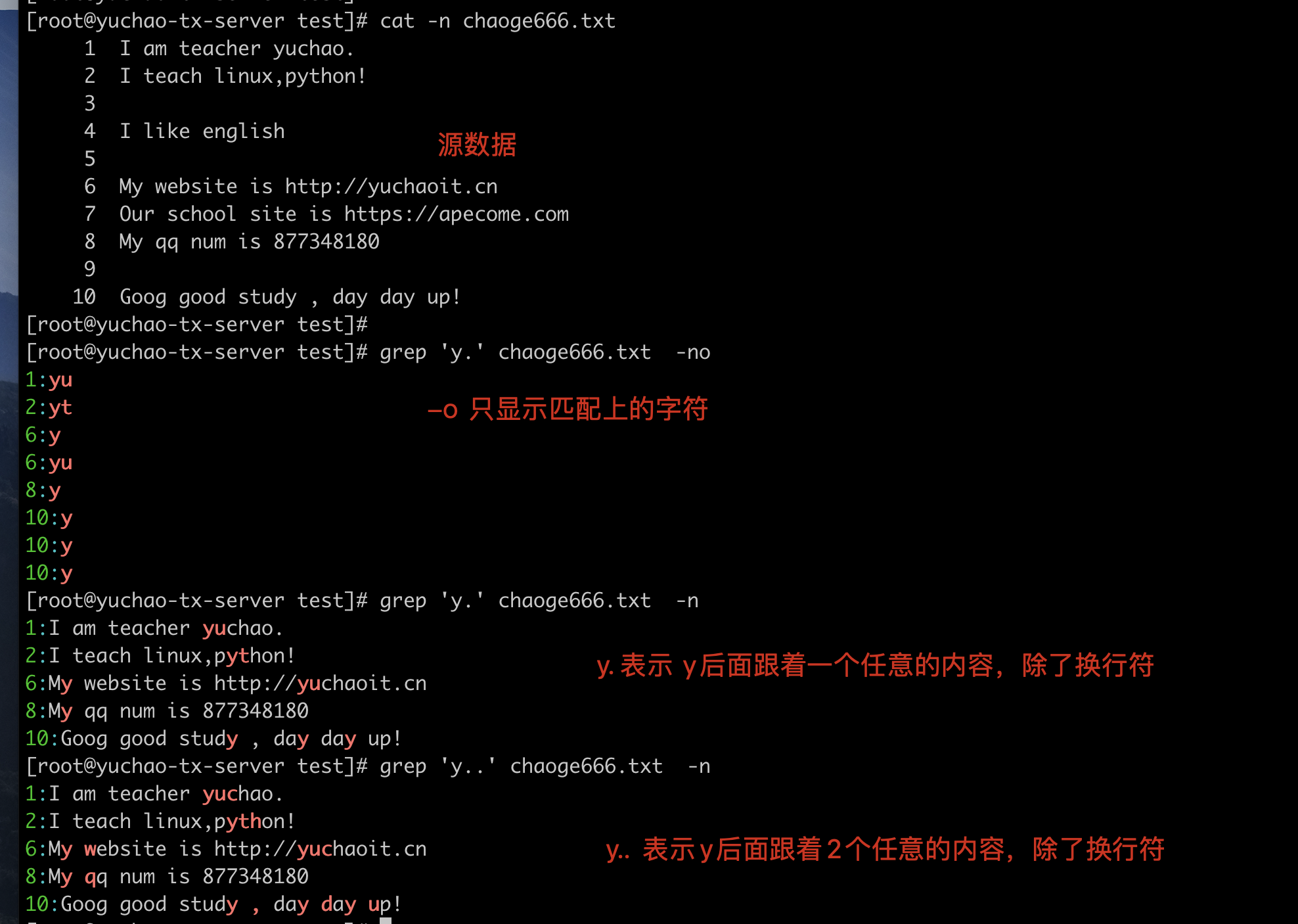 image-20220404144715047