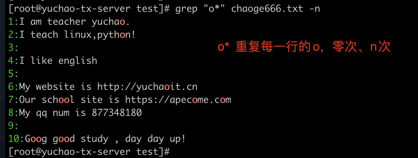 image-20220404185819618