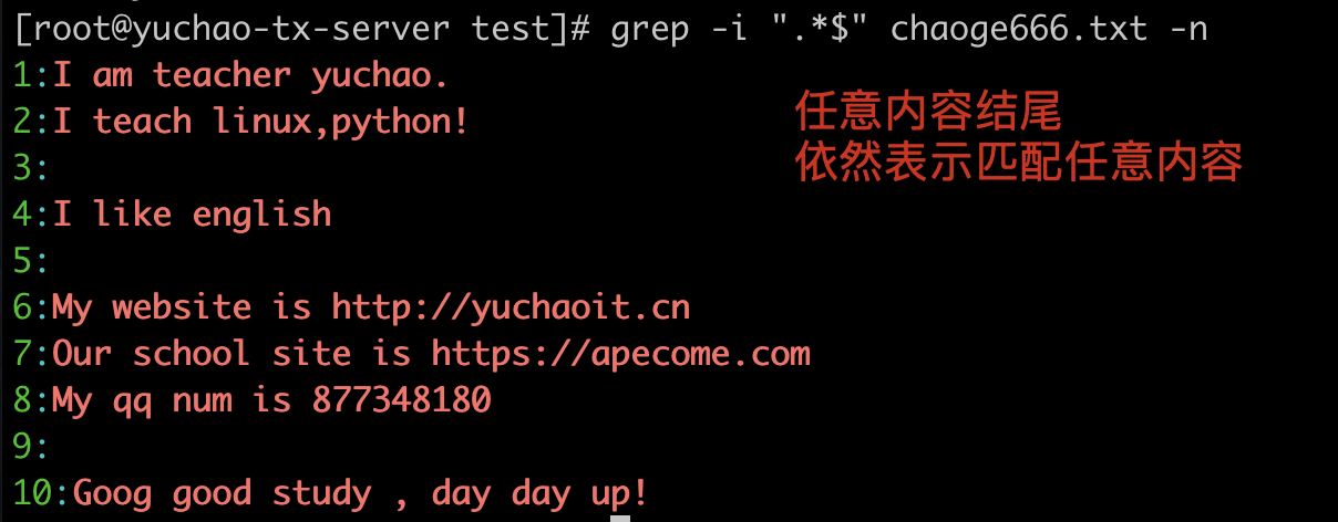 image-20220404191725480