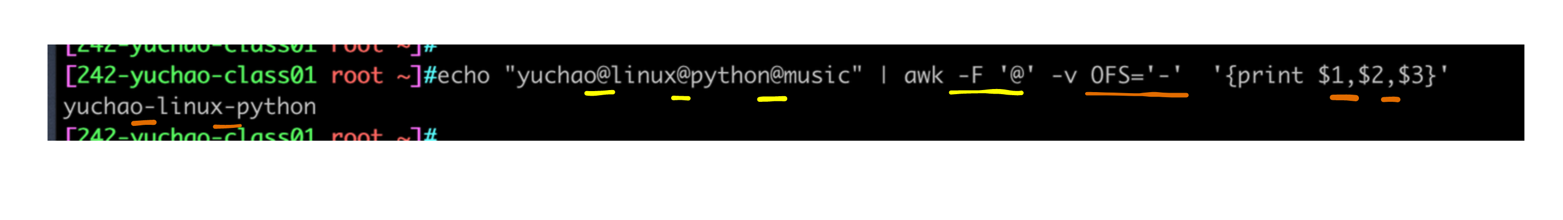 image-20220413180038779