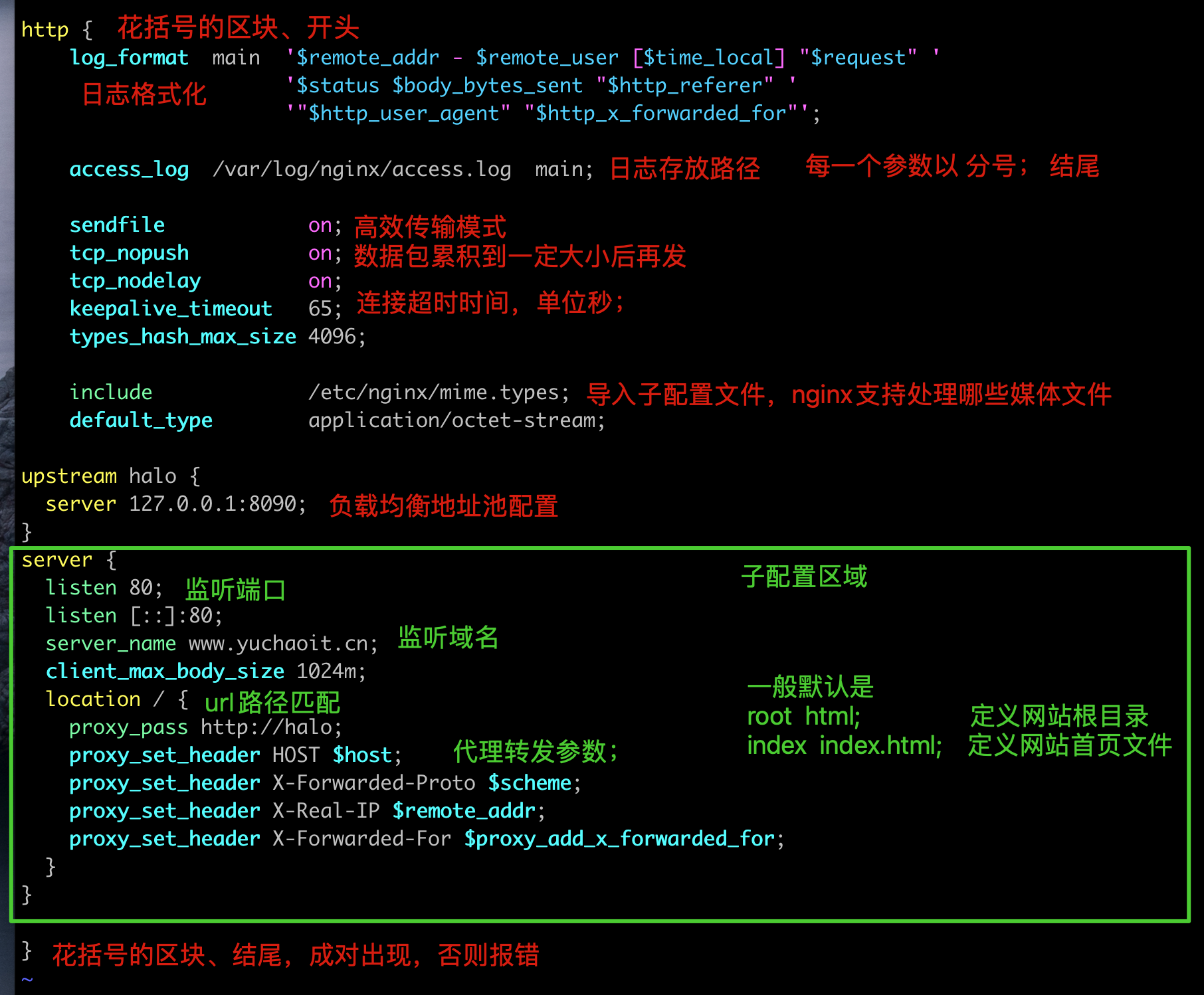 image-20220507183831115