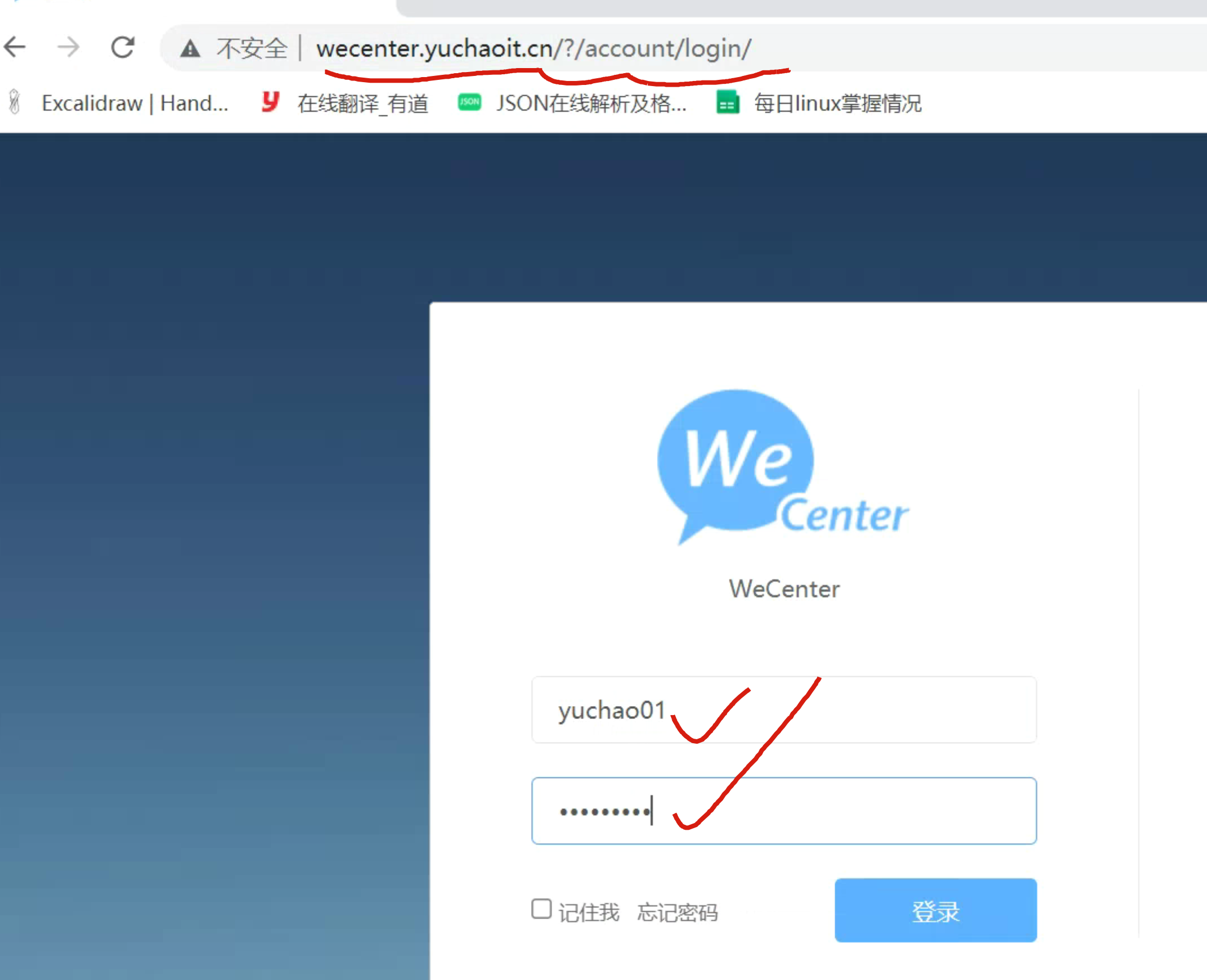 image-20220512172807802