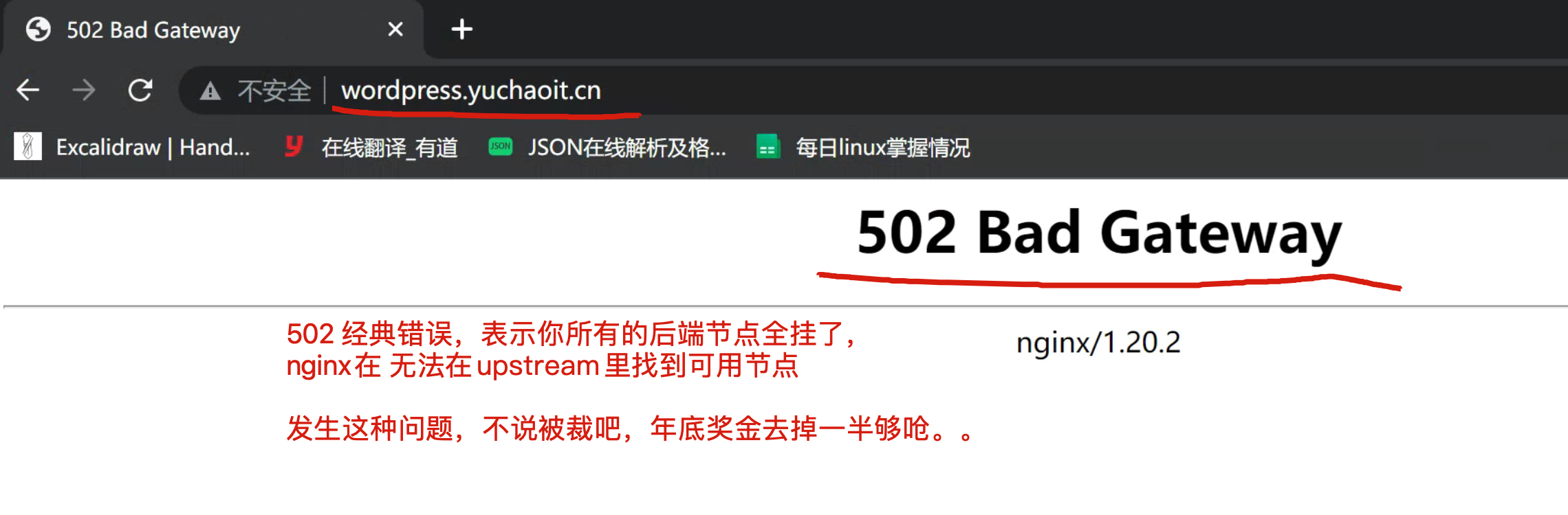 image-20220515141139399