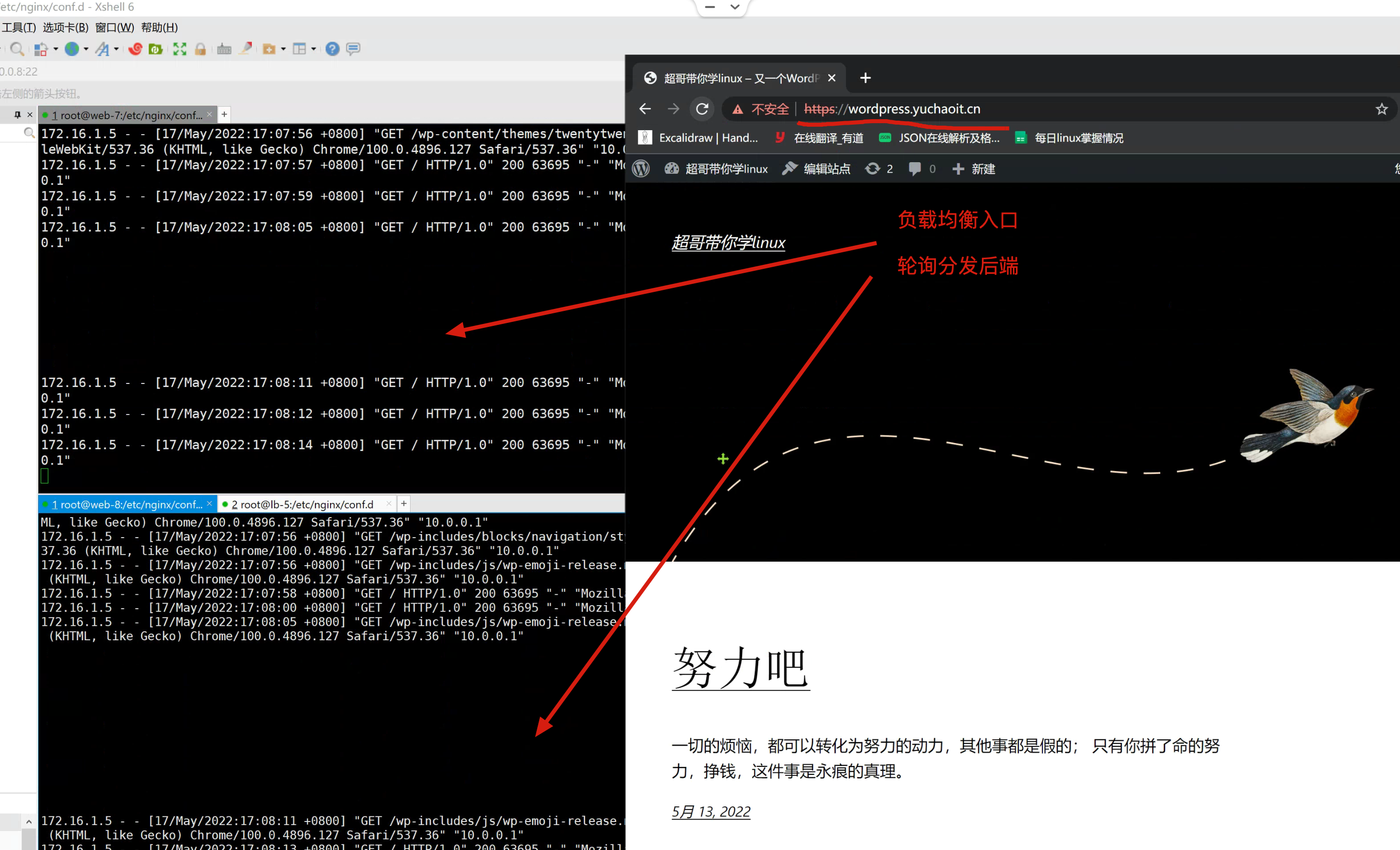 image-20220517170837403