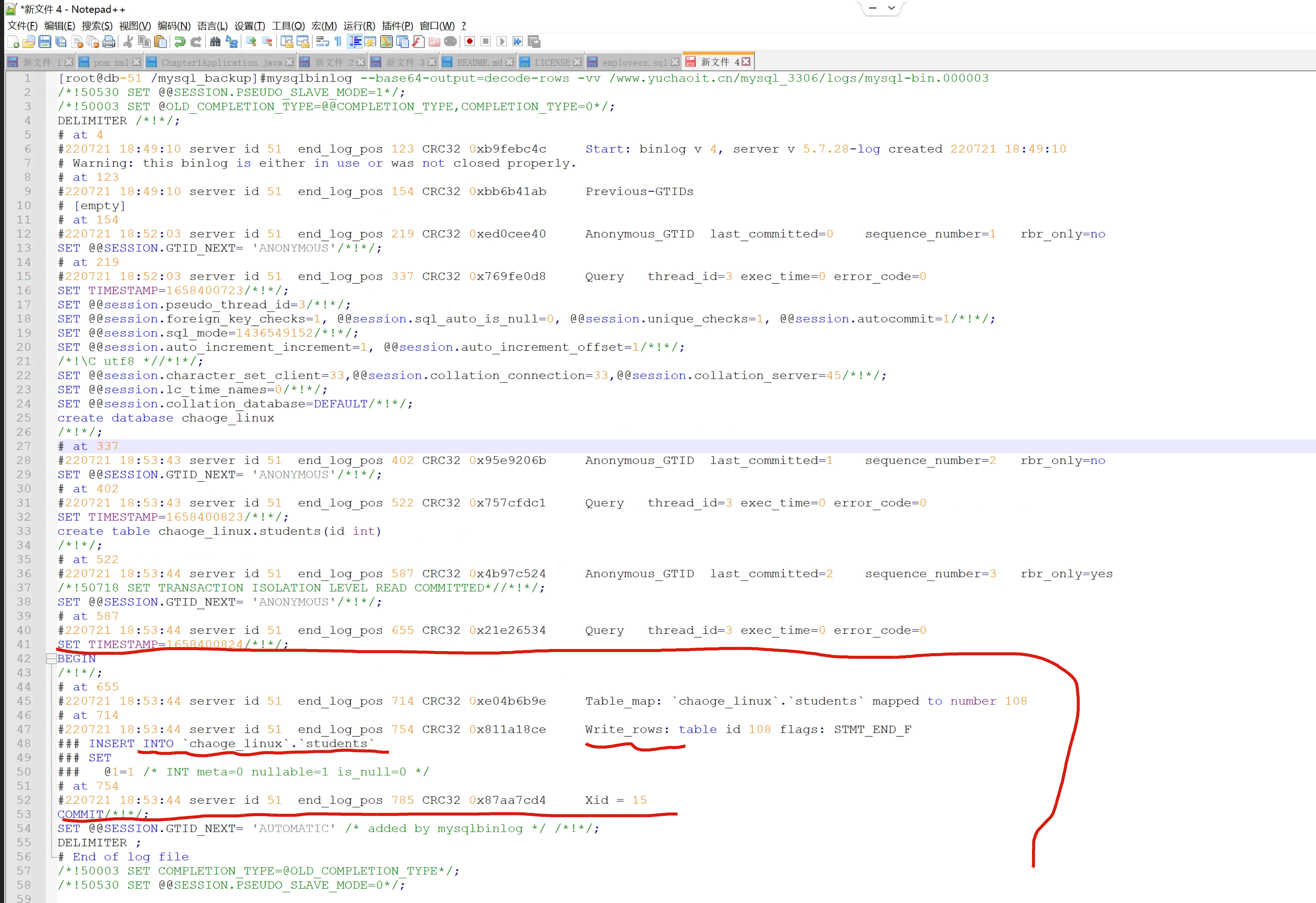 image-20220721191604385