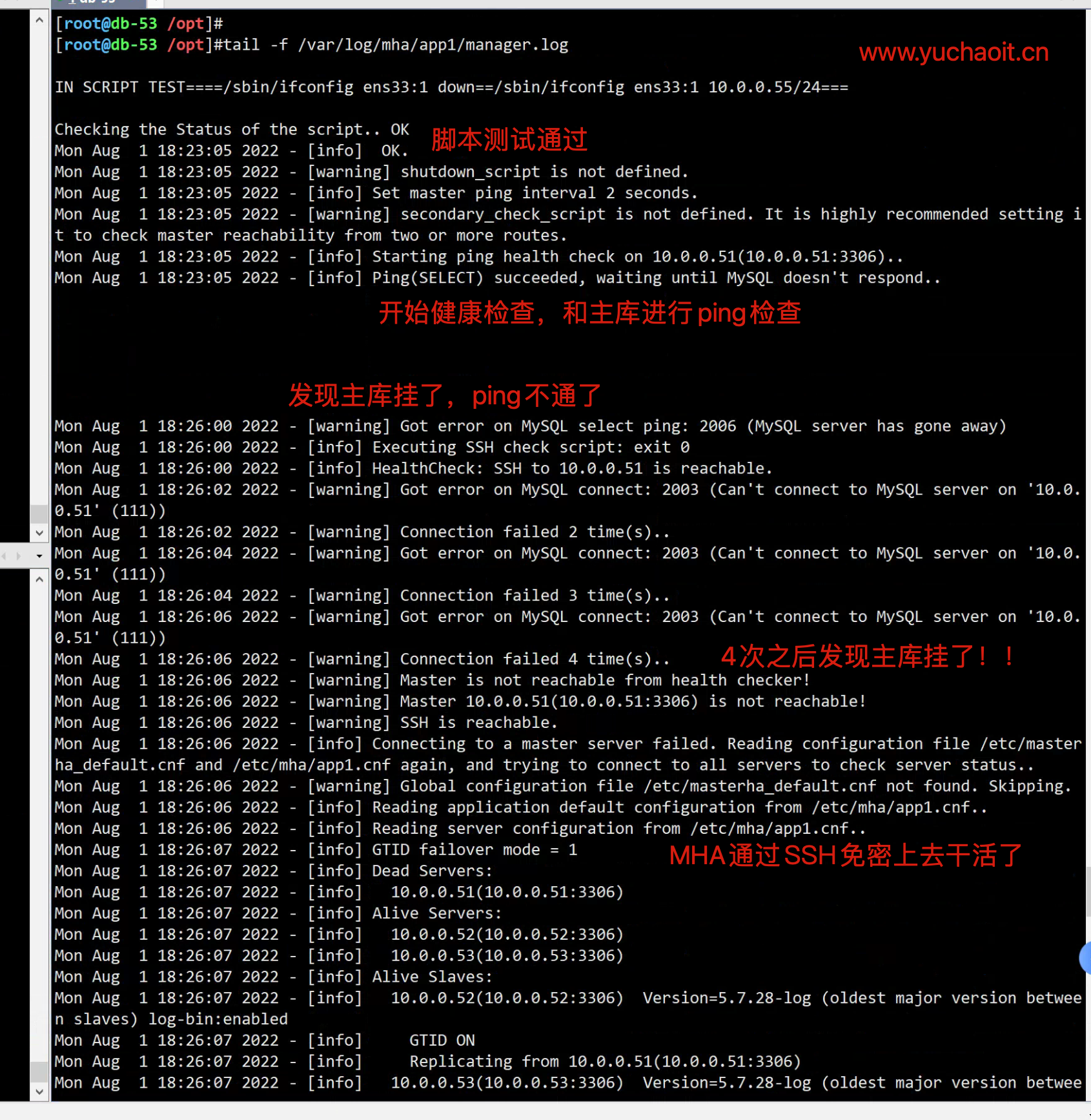 image-20220801182933481