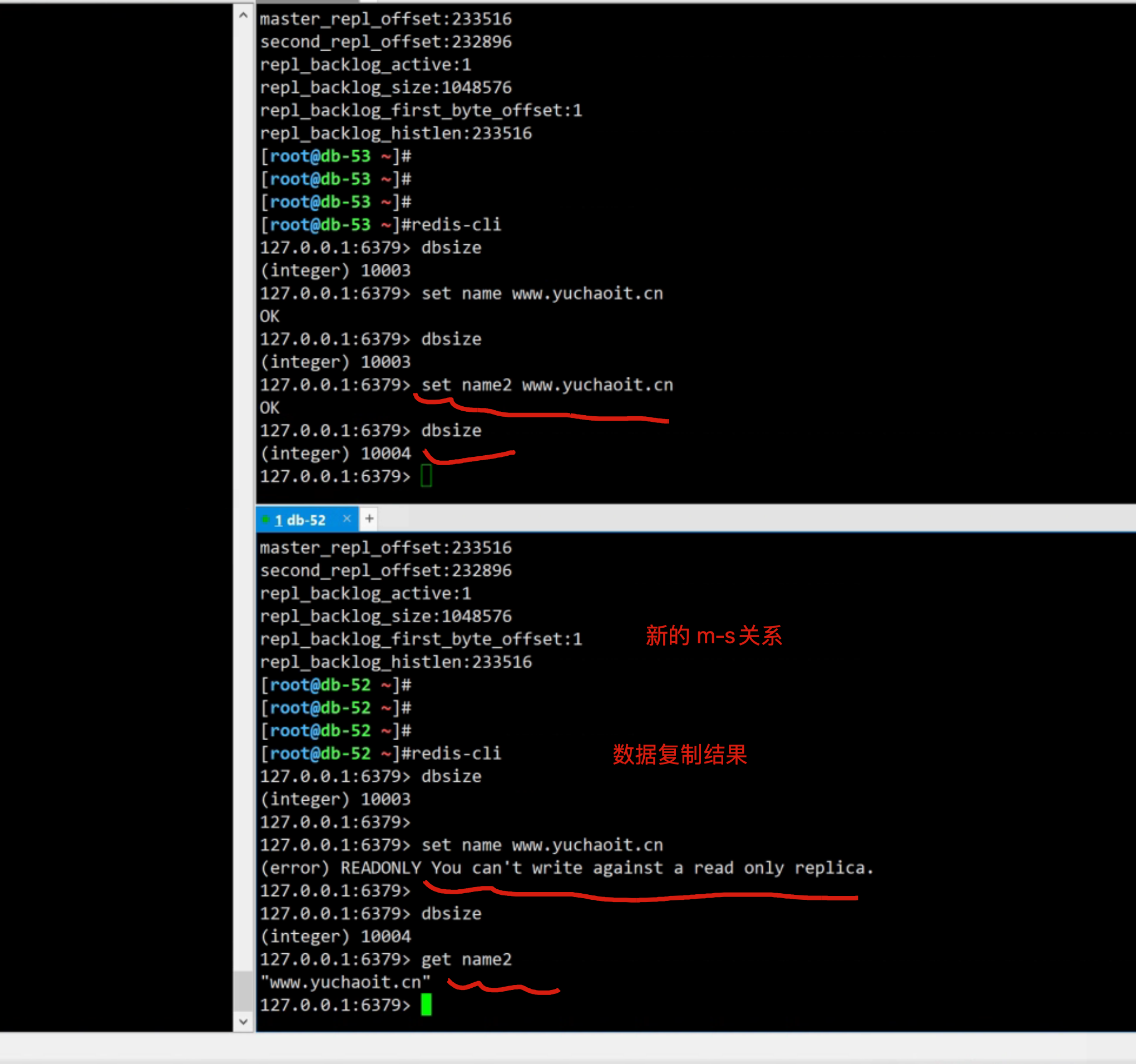 image-20220810202141842