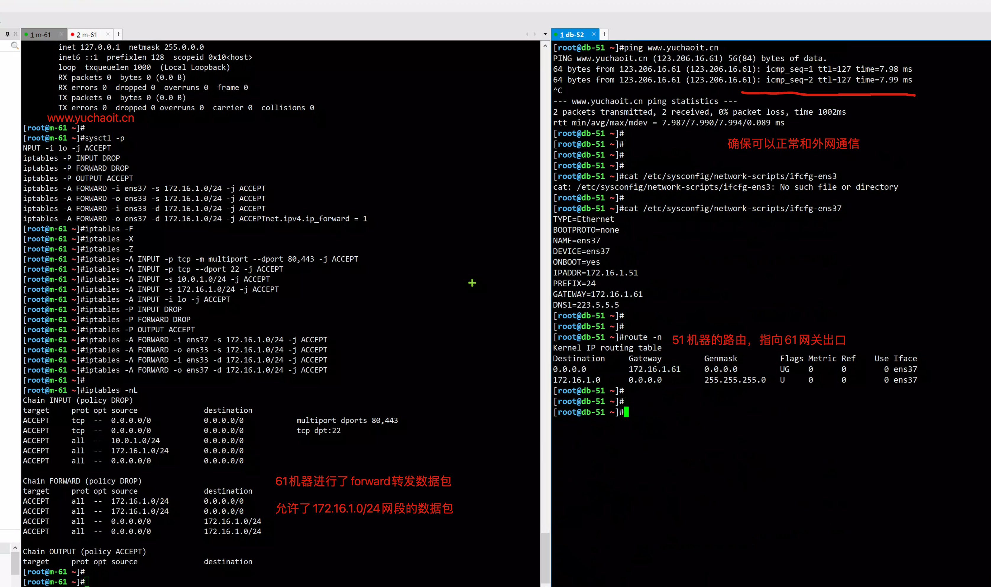 image-20220816162746020