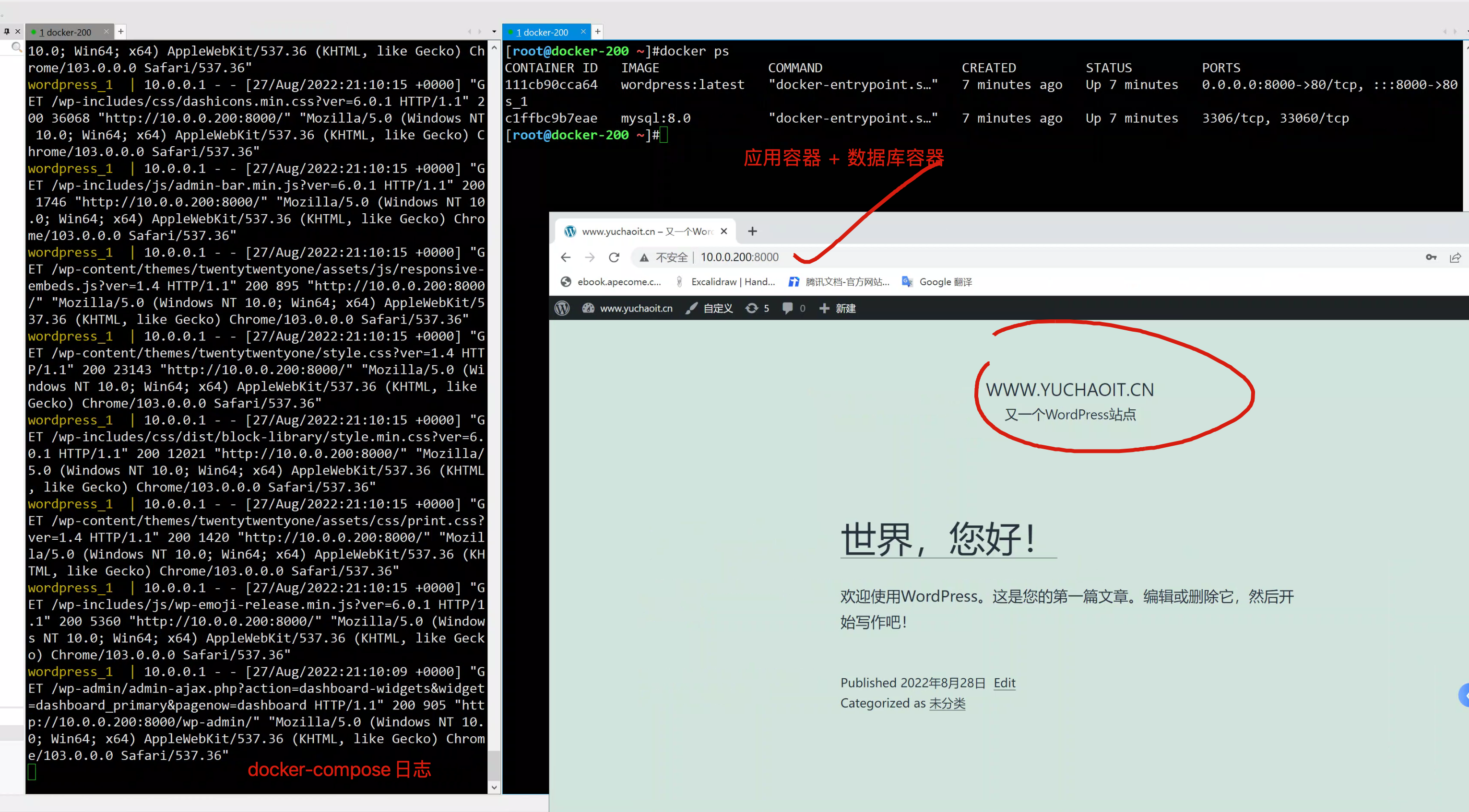 image-20220827211053881