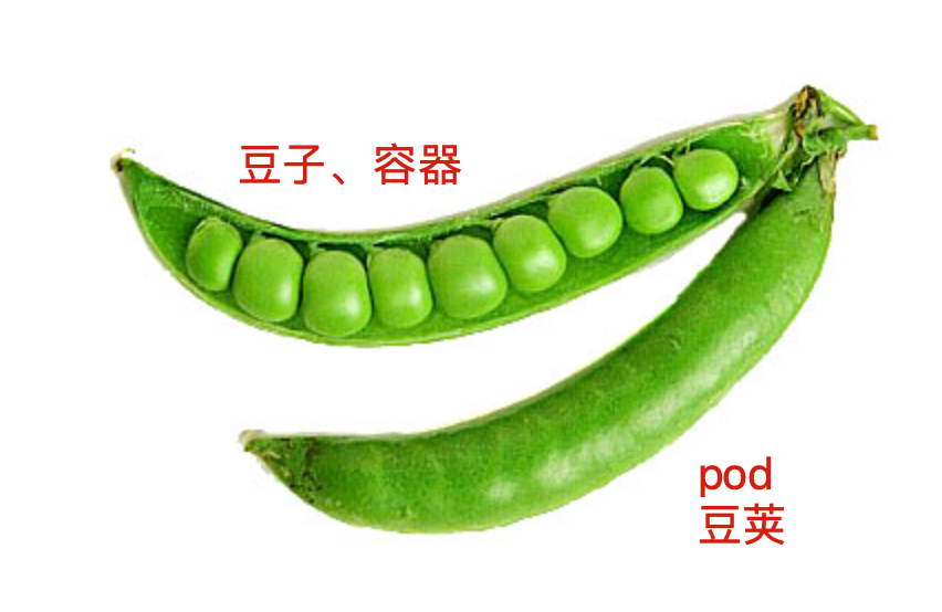 image-20220903132855616