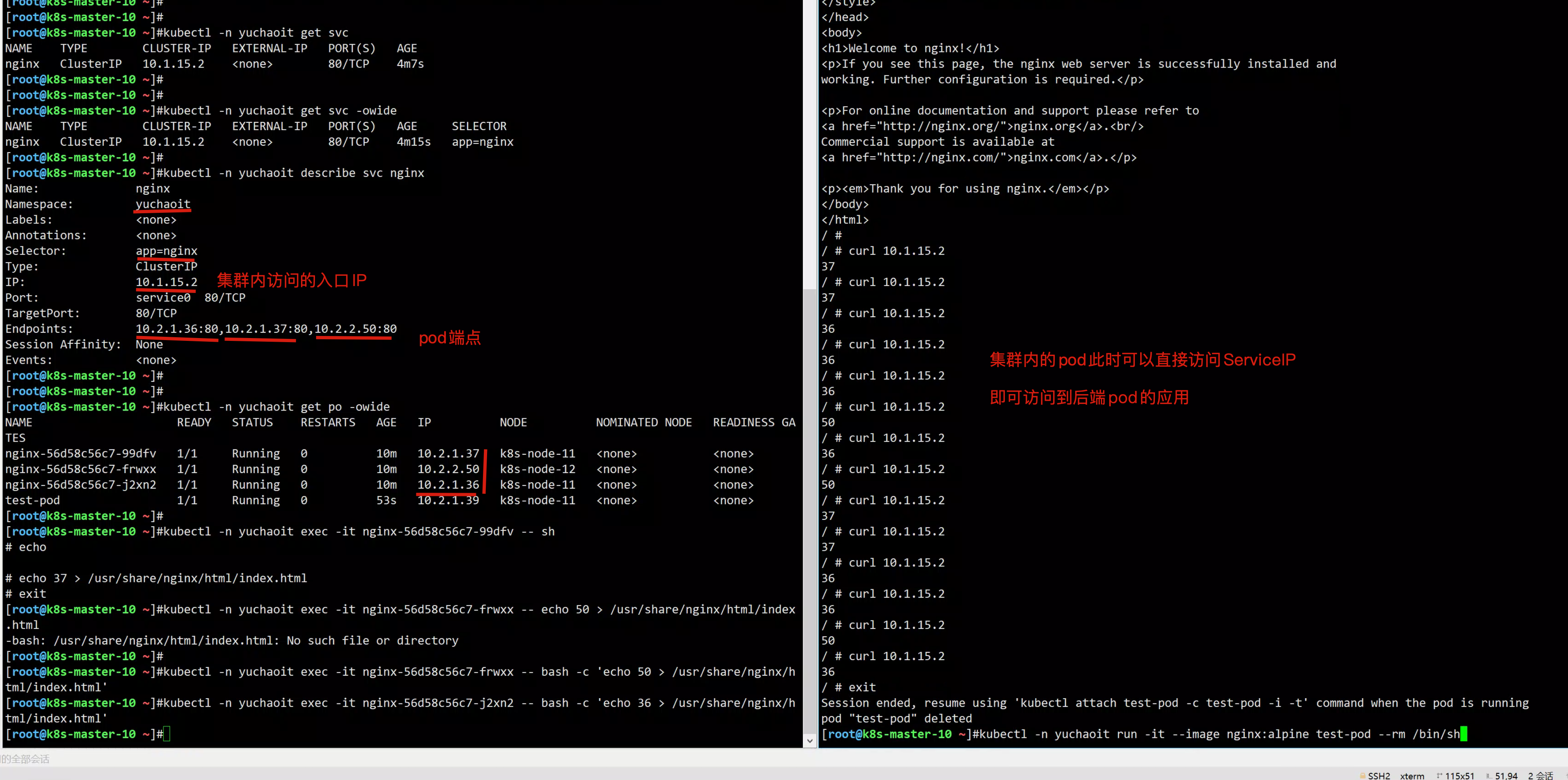 image-20220911181230916